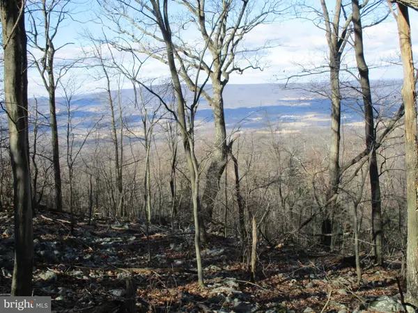 Gerrardstown, WV 25420,LOT 135 ALLEGHENY