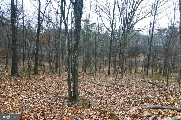 Cross Junction, VA 22625,LOT 9 SMOKEY SHIRE LN