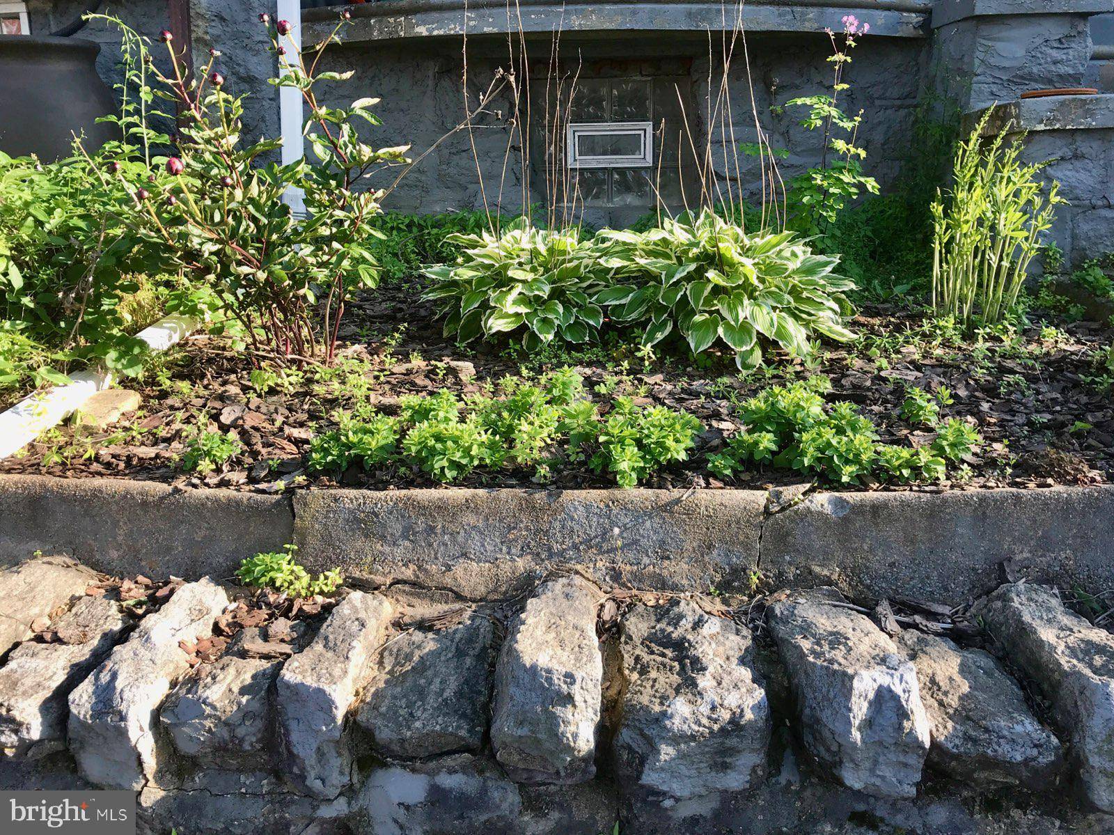 Philadelphia, PA 19143,5450 CATHARINE ST