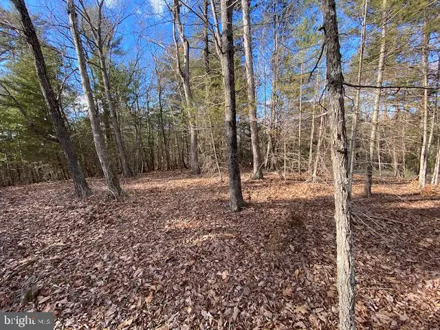 LOT 17 SLATE ROCK PASS ROAD, Wardensville, WV 26851