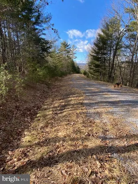 Wardensville, WV 26851,LOT 17 SLATE ROCK PASS ROAD