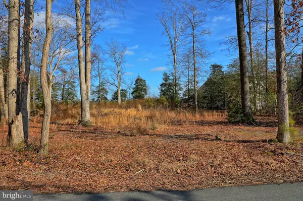 VACANT LOT 19 HOLLY OAK LN, Lewes, DE 19966