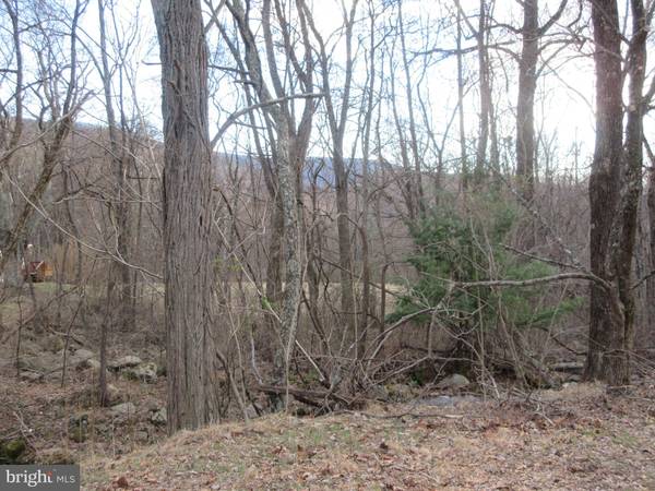 LOT 2A1 SMITH RUN RD, Bentonville, VA 22610