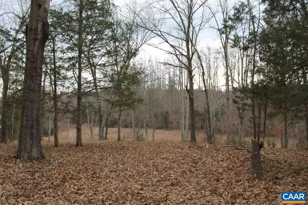 Dyke, VA 22935,19 LANGDON WOODS DR DR