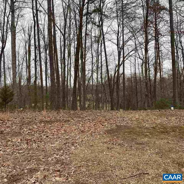 Dyke, VA 22935,LOT 11 LANGDON WOODS DR DR #11