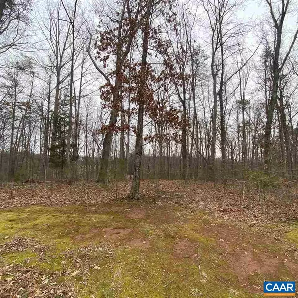 Dyke, VA 22935,LOT 11 LANGDON WOODS DR DR #11