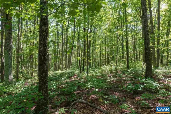 North Garden, VA 22959,B-06 DERRY LN LN #B-06