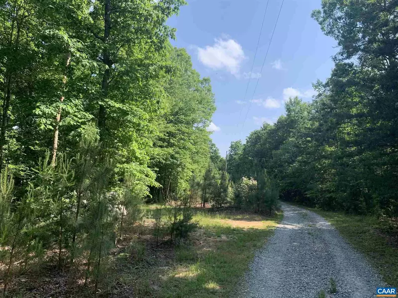 7807 CARTER RD RD #LOT #2, Schuyler, VA 22969