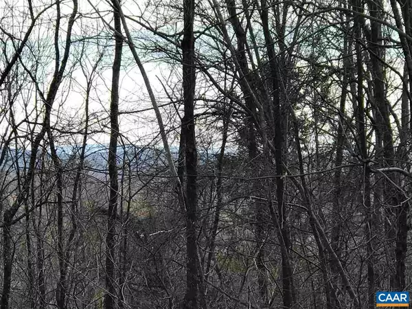 Stanardsville, VA 22973,175 MOUNTAIN CREST DR DR