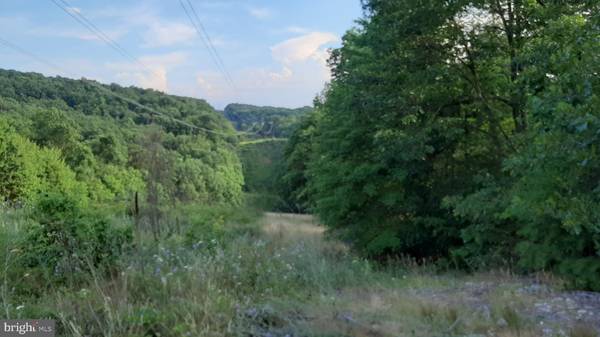 BRUSH LEAF LANE - LOT 9, Mount Jackson, VA 22842