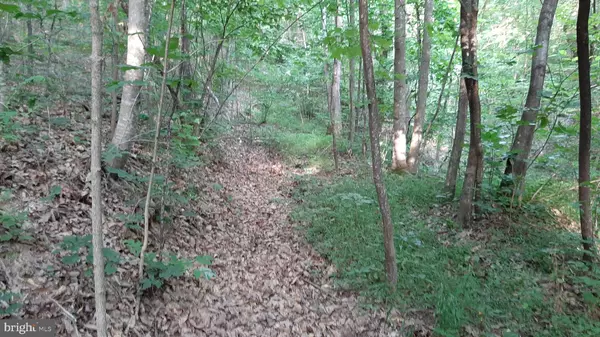 Mount Jackson, VA 22842,BRUSH LEAF LANE - LOT 9