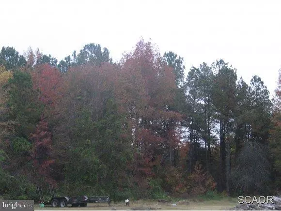 Ellendale, DE 19968,CEMETERY ROAD