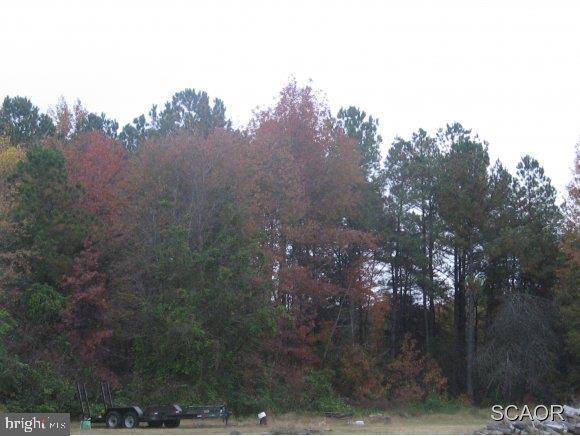 CEMETERY ROAD, Ellendale, DE 19968