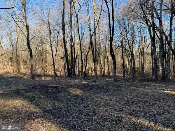 Culpeper, VA 22701,THREE OAK LN LOT A