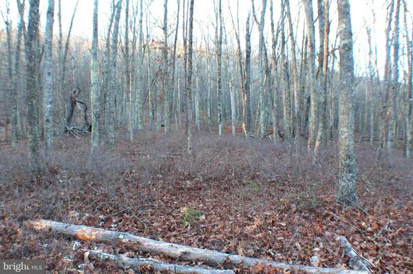 LOT 37 SPRING MOUNTAIN PROPERTY, Petersburg, WV 26847