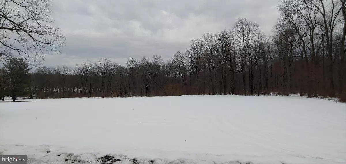 Alburtis, PA 18011,LOT #2 MARYANN DR