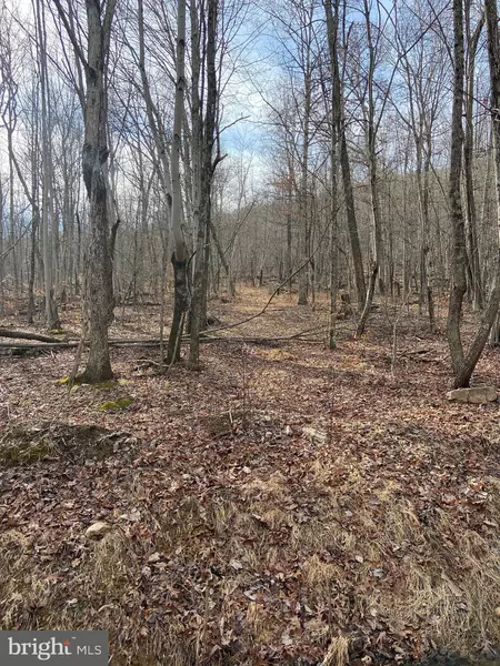 LOT 184 SUNRISE HILL, Fort Valley, VA 22652