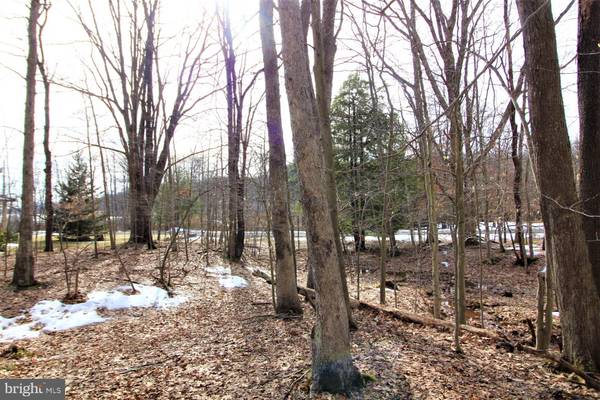 LOT 213 WOOD LILY, Terra Alta, WV 26764