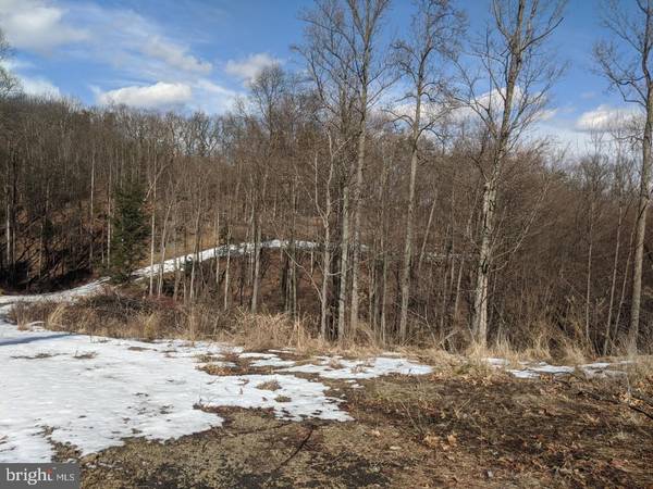 LOT 7 STONER DR, Shermans Dale, PA 17090