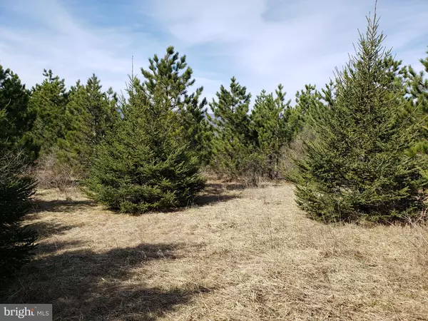 12235 SUMMIT CIR, Frostburg, MD 21532