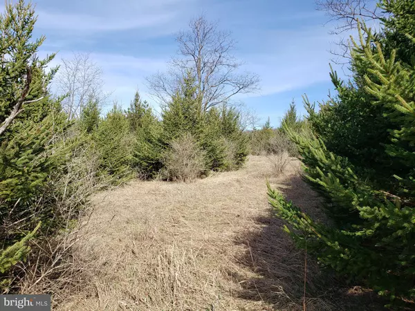 Frostburg, MD 21532,12235 SUMMIT CIR