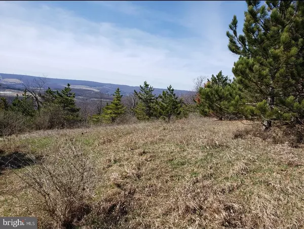 Frostburg, MD 21532,12223 SUMMIT CIR