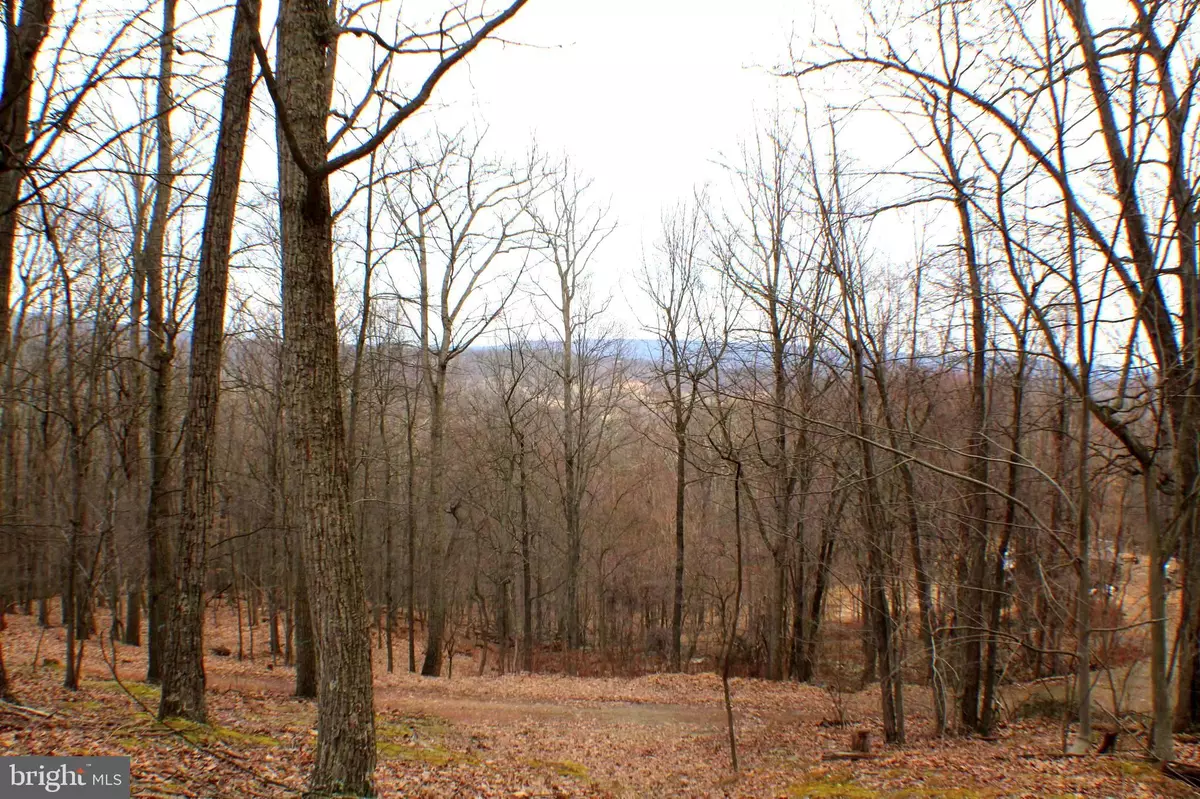 Baker, WV 26801,LOT 24 A&B COVE CREEK RD