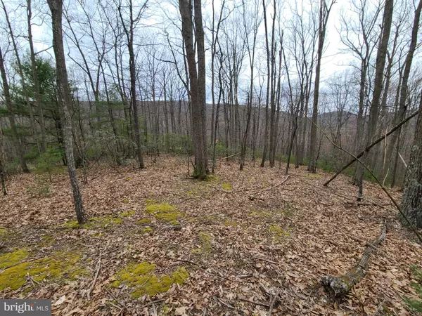 Mathias, WV 26812,LOT 15 CEDARWOOD DR