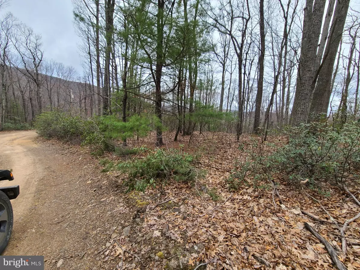 Mathias, WV 26812,LOT 15 CEDARWOOD DR