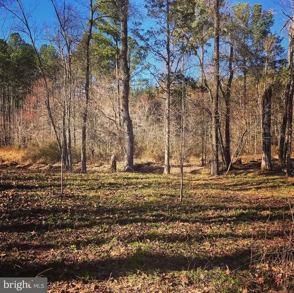 LOT 10 BUNCH LANE, Gordonsville, VA 22942