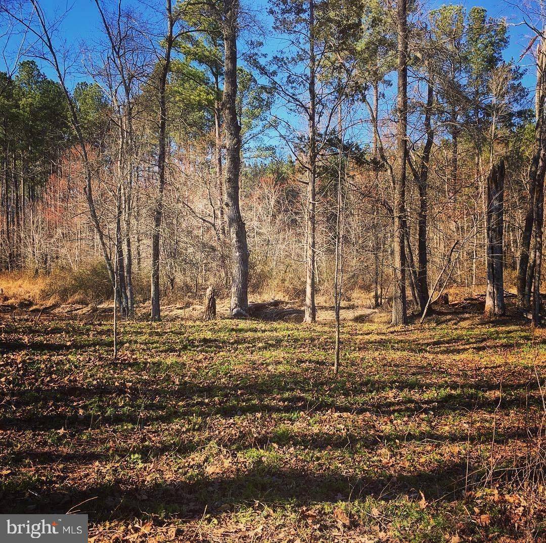 Gordonsville, VA 22942,LOT 10 BUNCH LANE