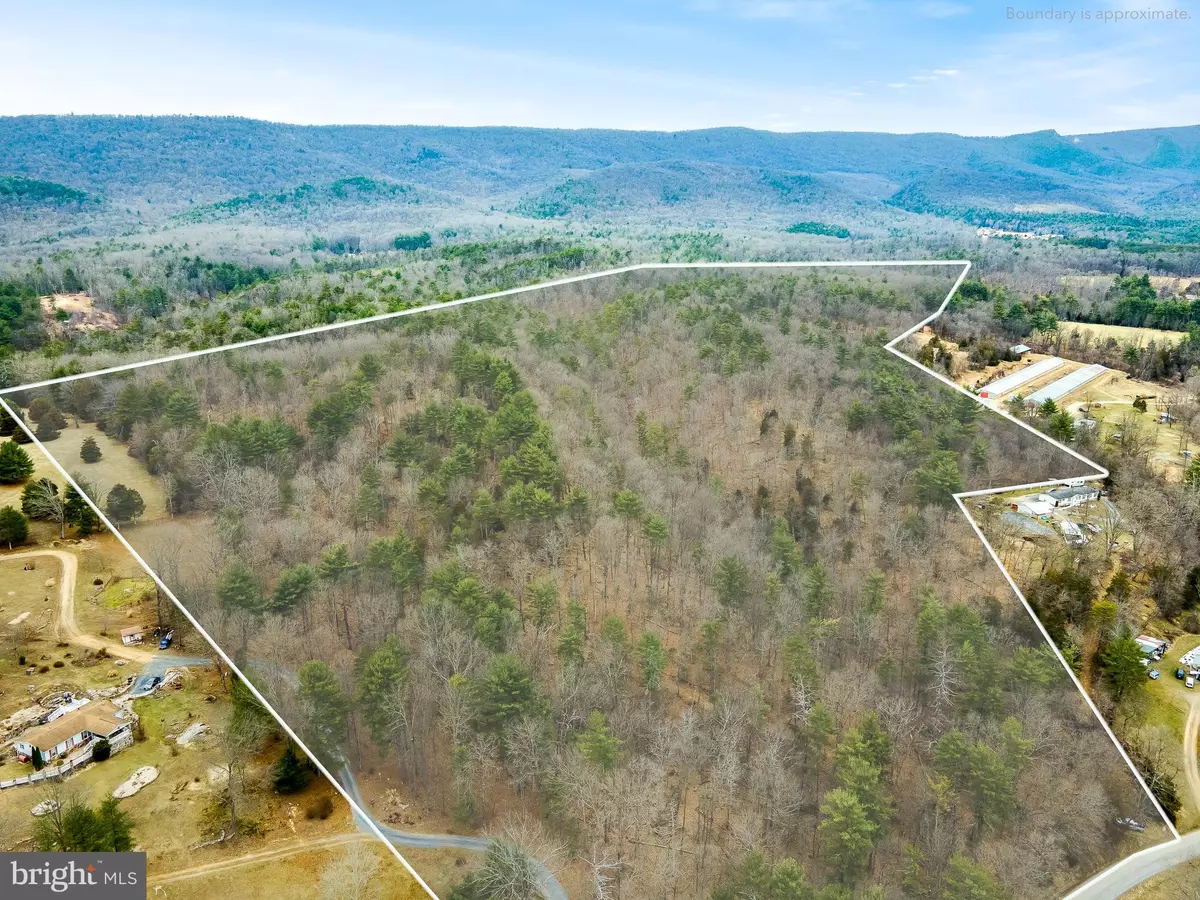 Broadway, VA 22815,LOT 19 RUNIONS CREEK