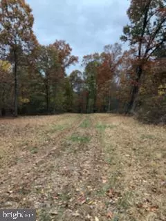 LOT 4A HARRY HIETT LN, Gore, VA 22637