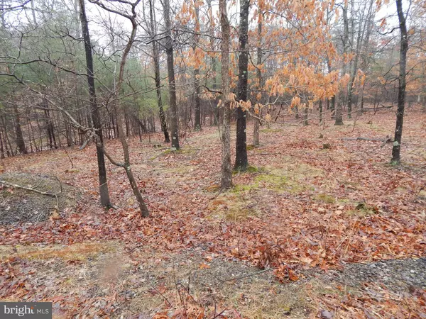 Berkeley Springs, WV 25411,LOT 26 MEGANS TERRACE