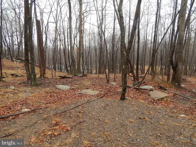 LOT 37 PARKSIDE COURT, Berkeley Springs, WV 25411