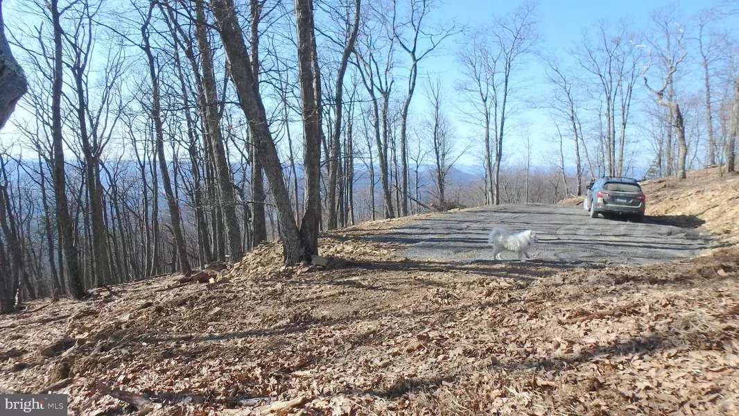 LOT 255 SOUTH BRANCH MOUNTAIN RD, Moorefield, WV 26836