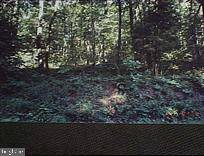0 BUCK RD, Dover, PA 17315