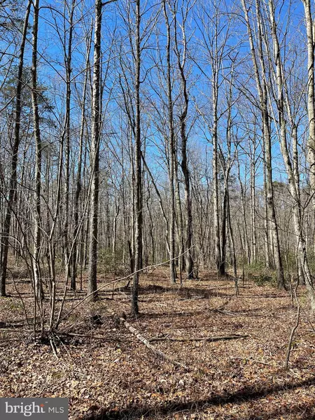 0 INDEPENDENCE RD #LOT 35, Unionville, VA 22567