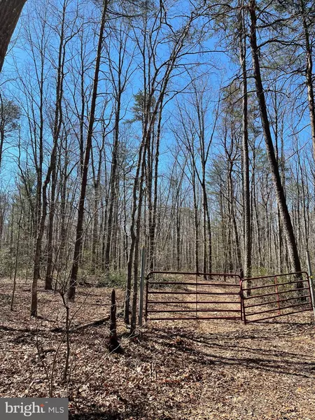 0 INDEPENDENCE RD #LOT 55, Unionville, VA 22567