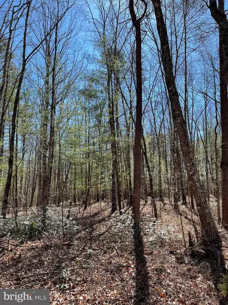 0 INDEPENDENCE RD #LOT 56, Unionville, VA 22567