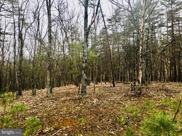 LOT 23 LONGVIEW, Burlington, WV 26710