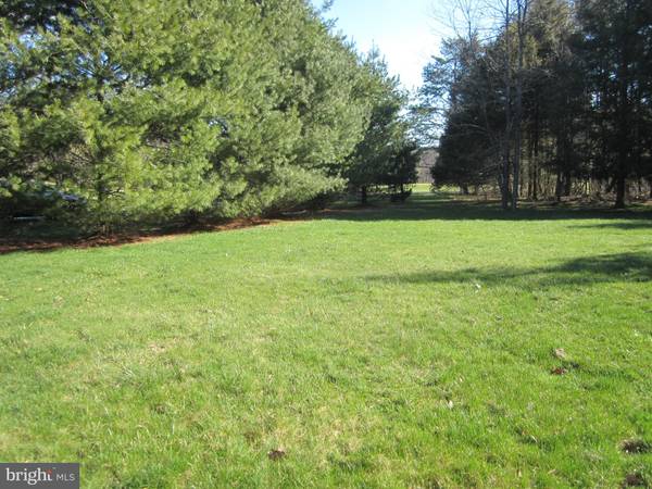 Basye, VA 22810,LOT # 4 CHAD LANE