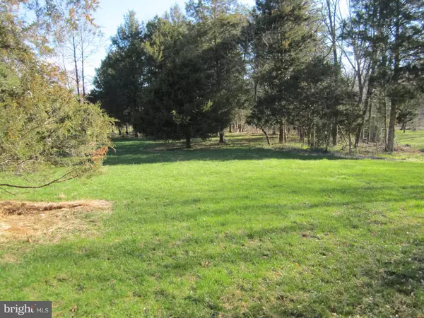 Basye, VA 22810,LOT # 4 CHAD LANE