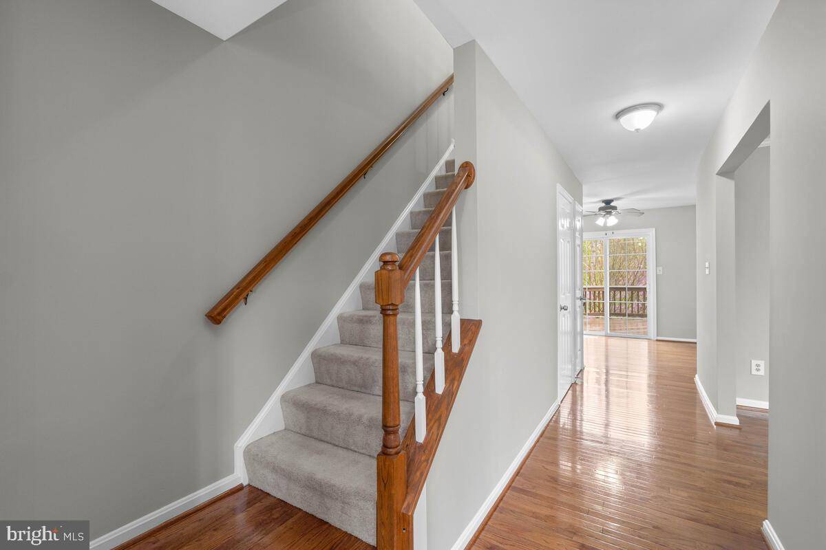 Alexandria, VA 22315,8057 SKY BLUE DR