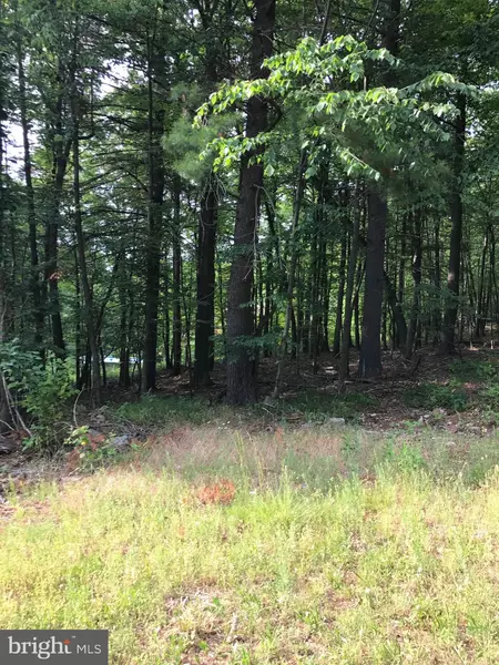 LOT 6 & 11 TROUGH CREEK ACRES, Huntingdon, PA 16652