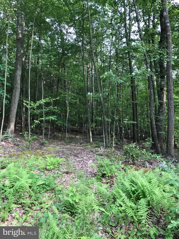 Huntingdon, PA 16652,LOT 6 & 11 TROUGH CREEK ACRES