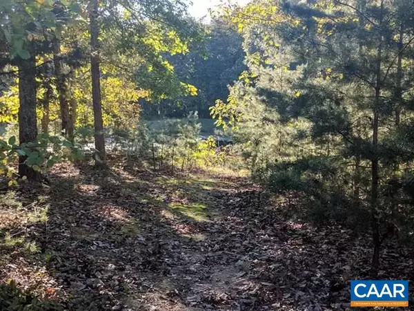 Gordonsville, VA 22942,551 FORREST HILL RD RD
