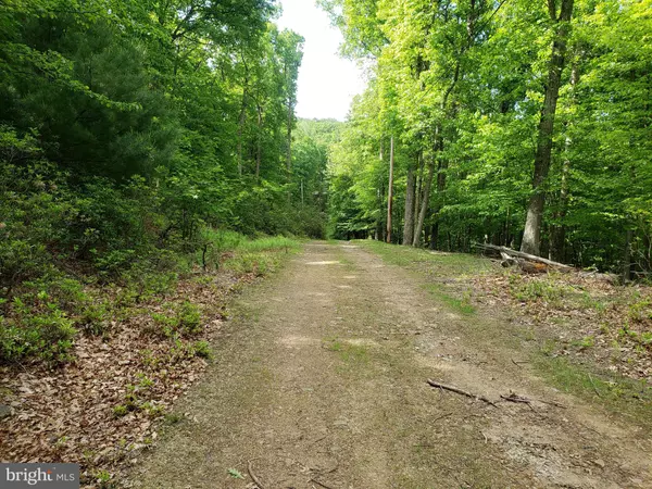 Mathias, WV 26812,LOT 19 CEDARWOOD DRIVE