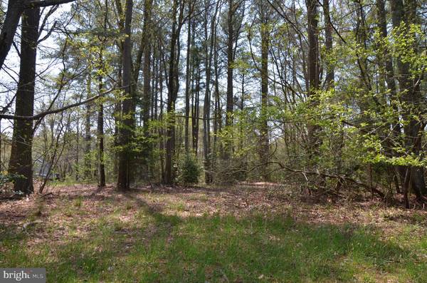 LOT 29 PORTAL DR, Montross, VA 22520