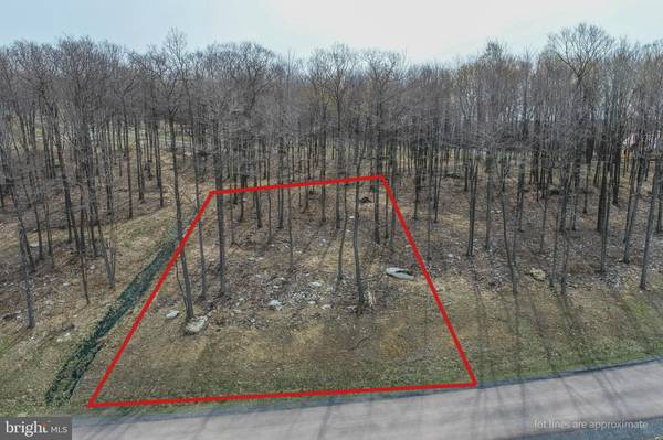 LOT 49 FORK RUN TRAIL, Mc Henry, MD 21541